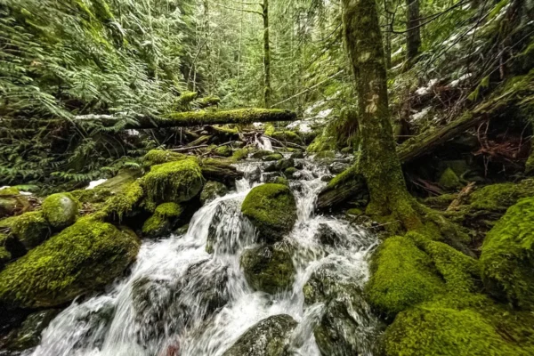 Recreation & Parks Department