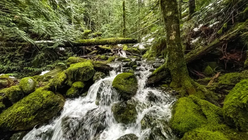 Recreation & Parks Department