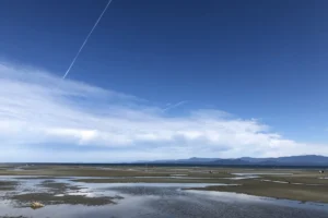 Parksville BC Boardwalk