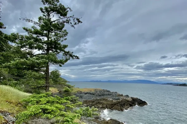 Es-hw Sme~nts Community Park