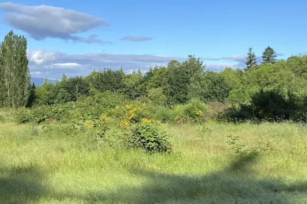 RDN Top Bridge Trail