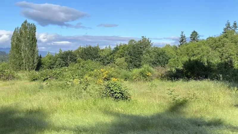 RDN Top Bridge Trail