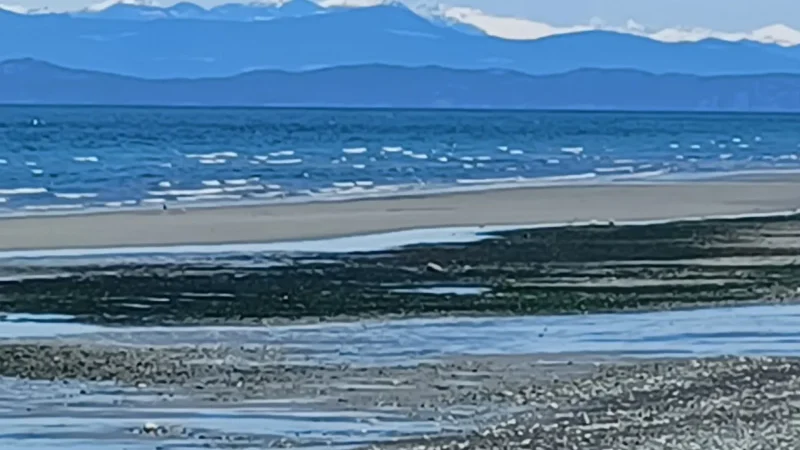 Qualicum Beach East Beach