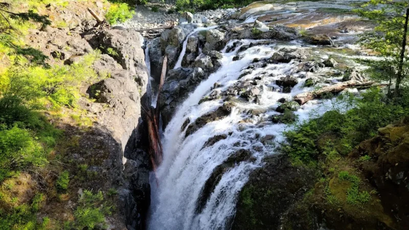 Englishman River Falls Provincial Park