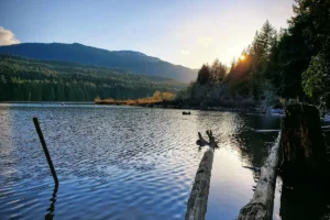 Westwood Lake Park