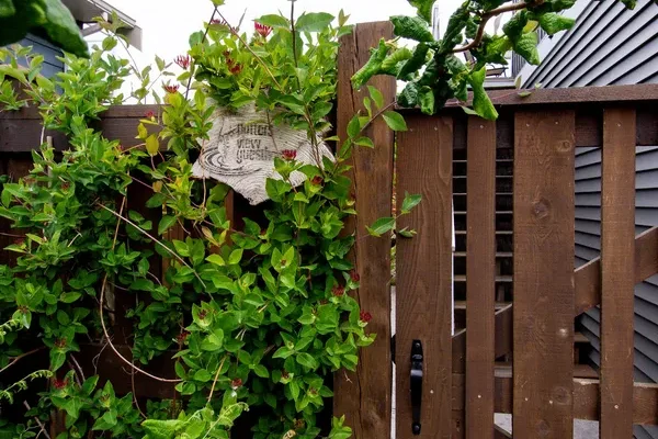 Potter’s View Guesthouse B&B