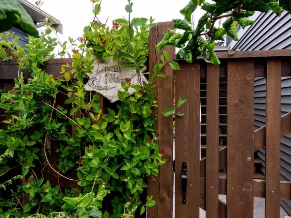 Potter’s View Guesthouse B&B