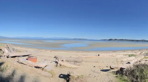 Tanglewood Beach Homes