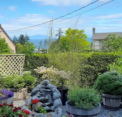 Island View Bed & Breakfast