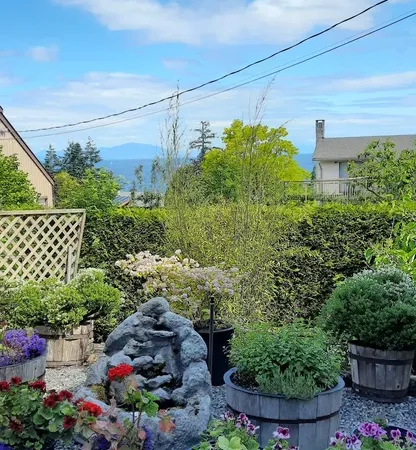 Island View Bed & Breakfast