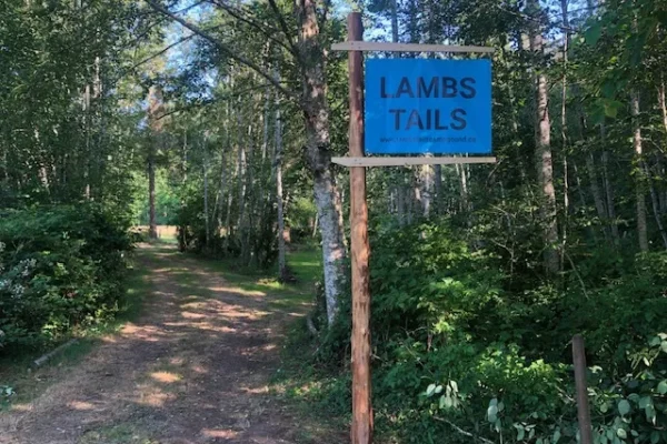 Lambs Tails Campground