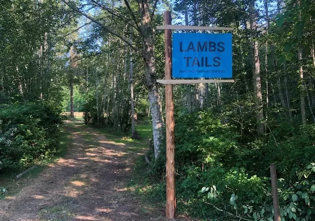 Lambs Tails Campground
