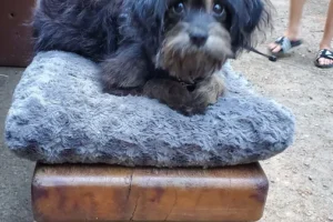 Englishman River Falls Provincial Park Campground