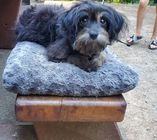 Englishman River Falls Provincial Park Campground