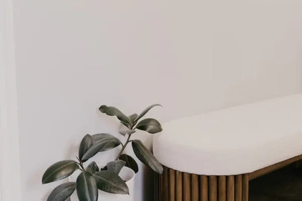 Parksville Wellness Collective