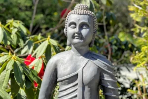 Aurora Wellness Centre