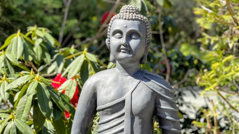 Aurora Wellness Centre