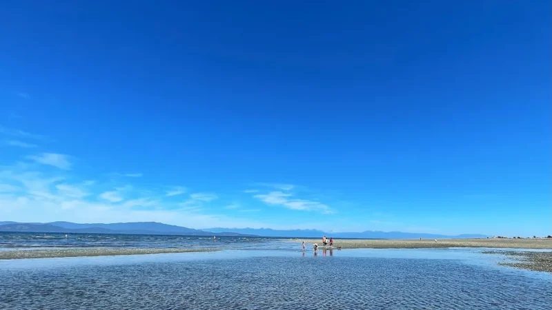 Parksville-Qualicum Beach Wildlife Management Area