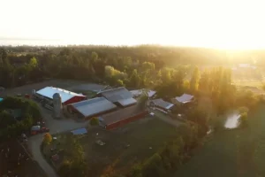 Little Qualicum Cheeseworks