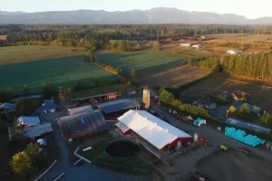 Morningstar Farm (Little Qualicum Cheeseworks)