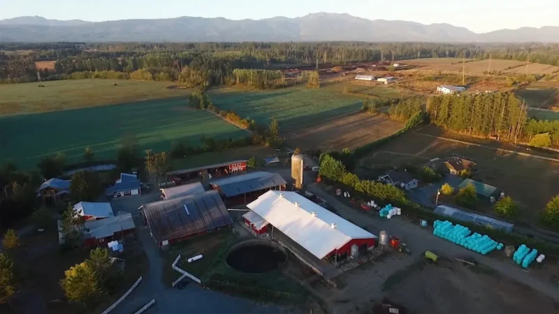 Morningstar Farm (Little Qualicum Cheeseworks)