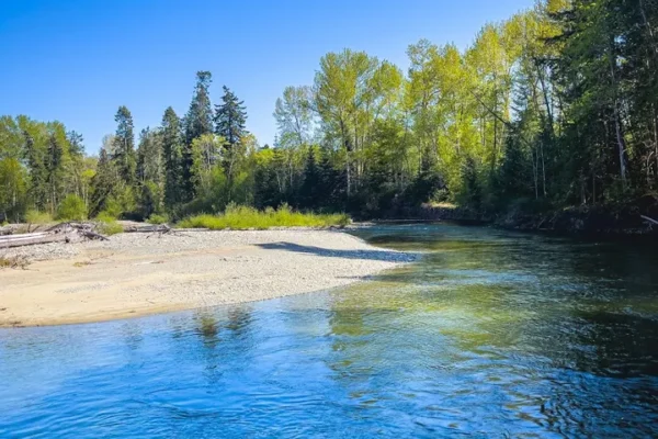 Kw’a’luxw (Englishman) River Estuary
