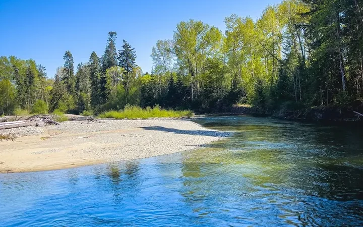 Kw’a’luxw (Englishman) River Estuary