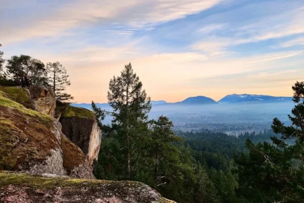 Little Mountain Lookout
