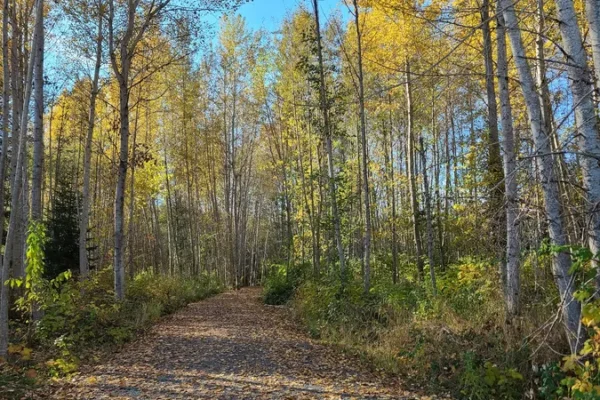 Parksville Wetlands Trail