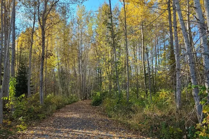 Parksville Wetlands Trail