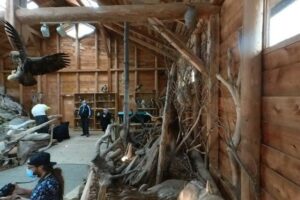 North Island Wildlife Recovery & Educational Centre