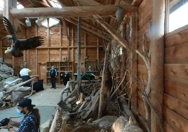 North Island Wildlife Recovery & Educational Centre