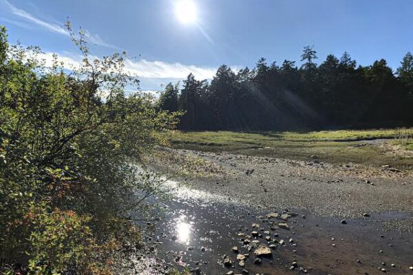 Craig Creek Estuary Community Park