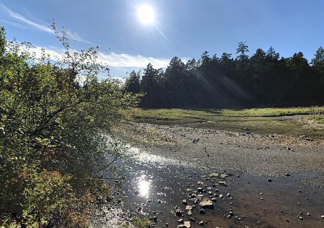 Craig Creek Estuary Community Park