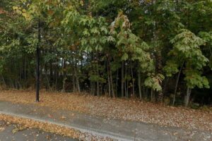 Shelly Creek Park North